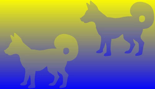 yellow-blue-dogs